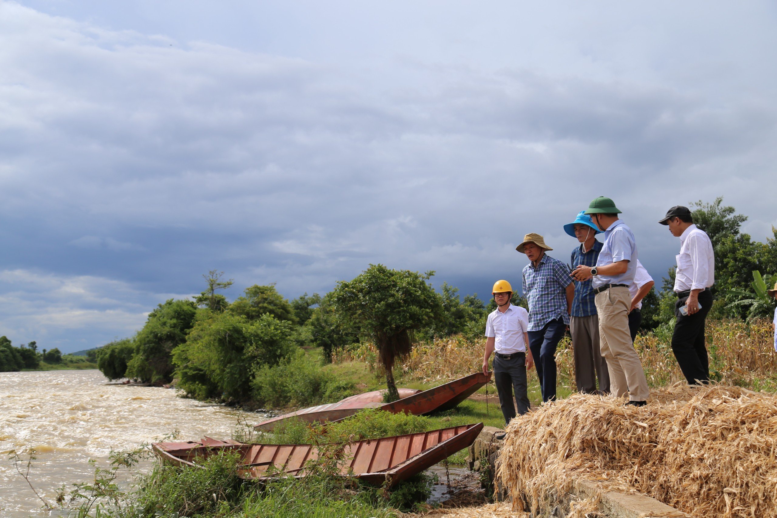 Triển khai đánh giá ảnh hưởng của vận hành hồ chứa thủy điện Buôn Kuốp đến sản xuất lúa nước huyện Krông Ana