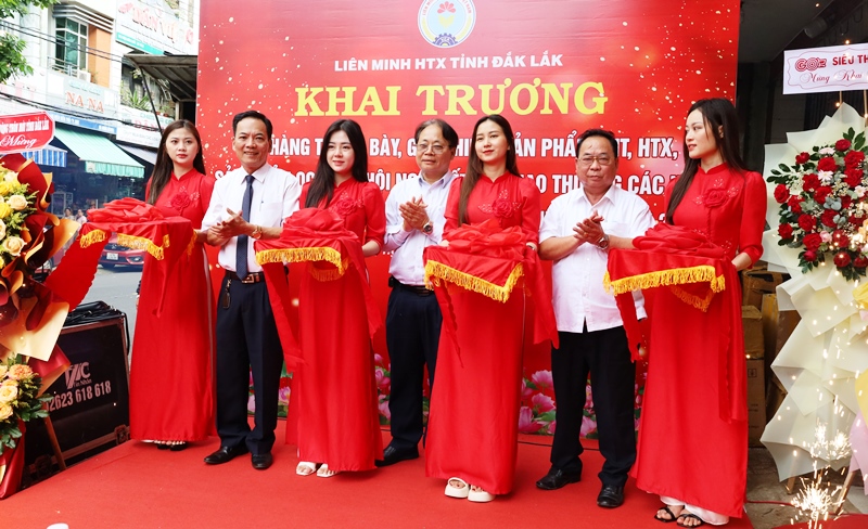 Liên minh Hợp tác xã tỉnh khai trương cửa hàng trưng bày, giới thiệu sản phẩm Ocop