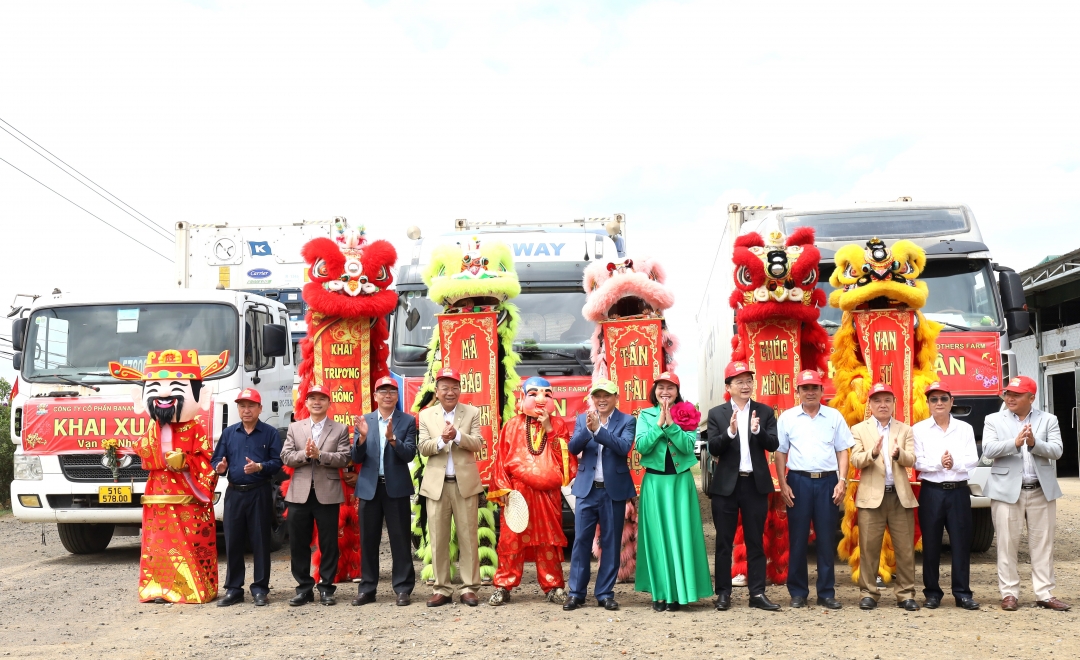 Xuất khẩu chính ngạch 6 tấn chuối sang thị trường Trung Quốc và Hàn Quốc
