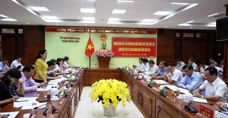 Giám sát chuyên đề nâng cao chất lượng, hiệu quả hoạt động của các đơn vị sự nghiệp công lập giai đoạn 2018-2023