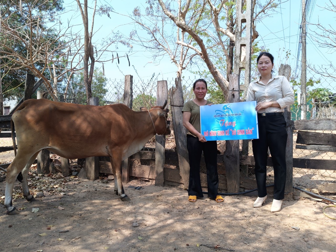 Trao bò sinh sản cho phụ nữ nghèo tại huyện Ea Súp và huyện Lắk
