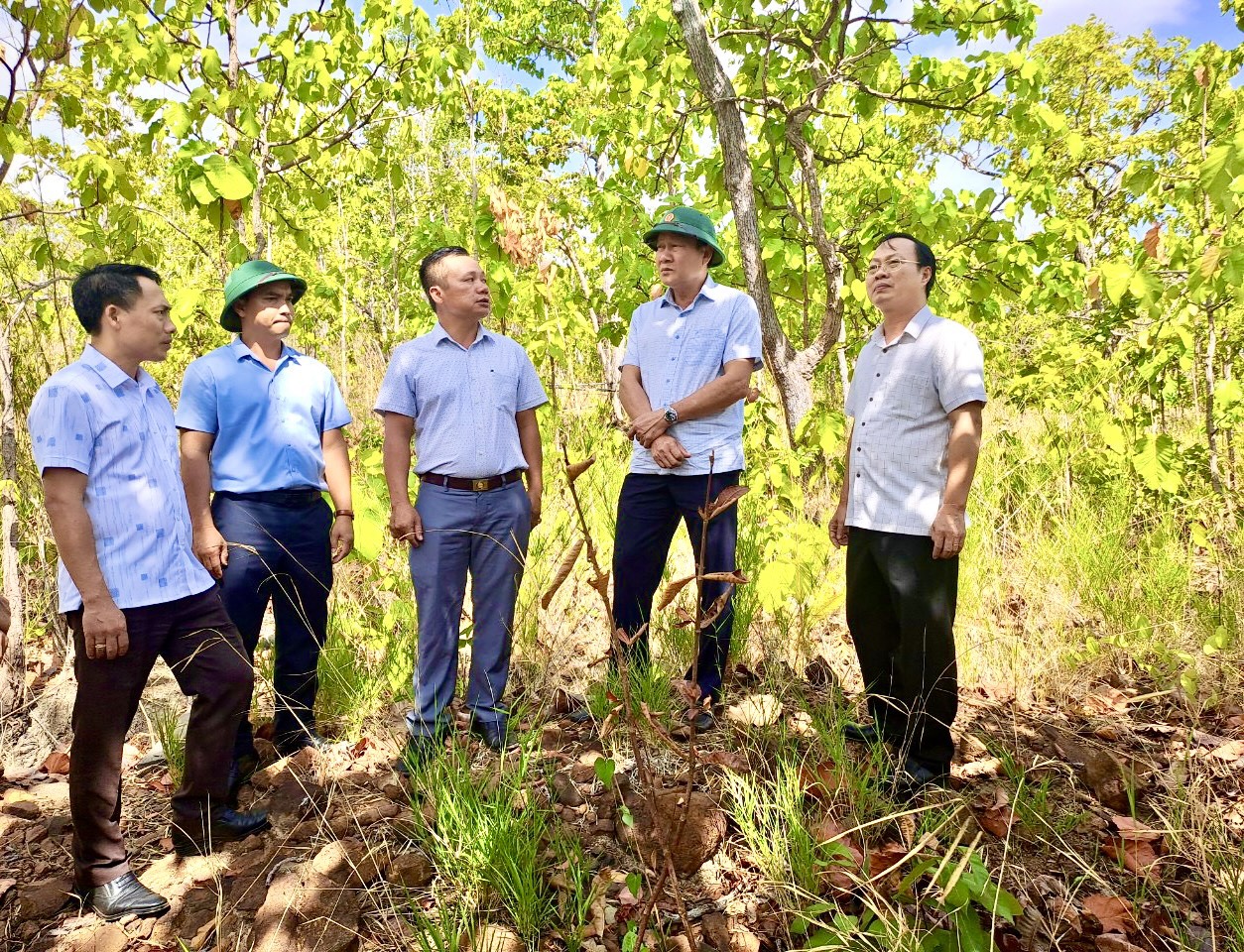 Giám sát việc sử dụng kinh phí quản lý, bảo vệ và phát triển rừng tại huyện Ea H’Leo