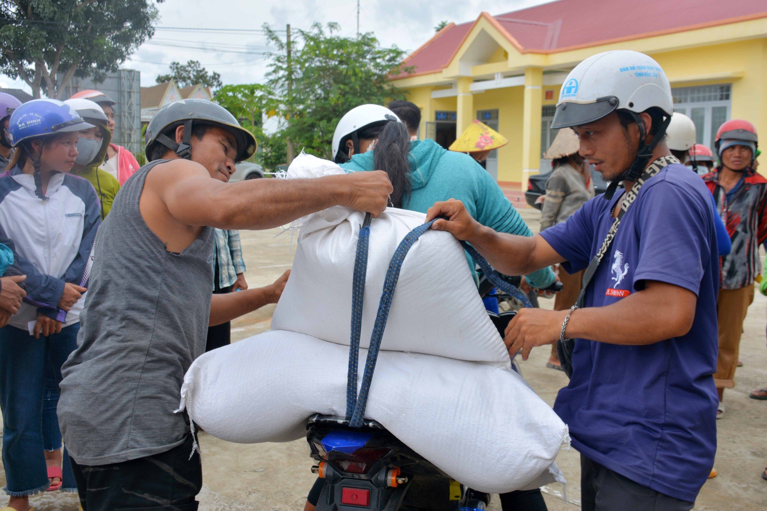 Phân bổ 155,64 tấn gạo cứu đói cho Nhân dân dịp giáp hạt năm 2024