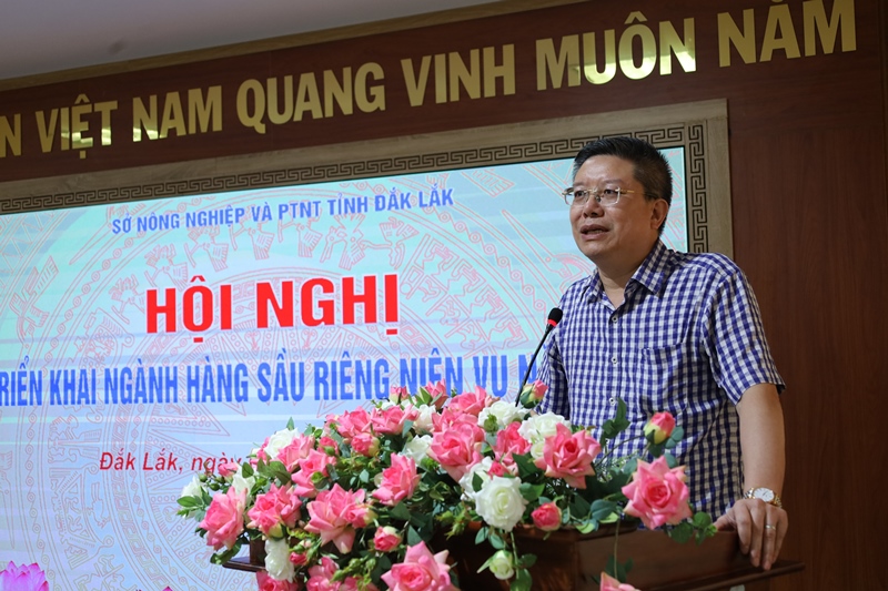 Đắk Lắk tìm giải pháp nâng cao sức cạnh tranh cho ngành hàng sầu riêng niên vụ năm 2024