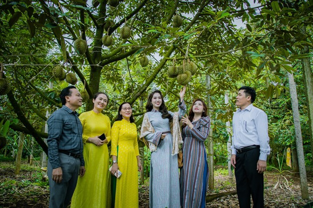 Lễ hội Sầu riêng Krông Pắc lần thứ II: Đẩy mạnh truyền thông, quảng bá đặc sản địa phương trên nền tảng số