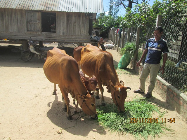 Thoát nghèo nhờ nguồn vốn tín dụng chính sách