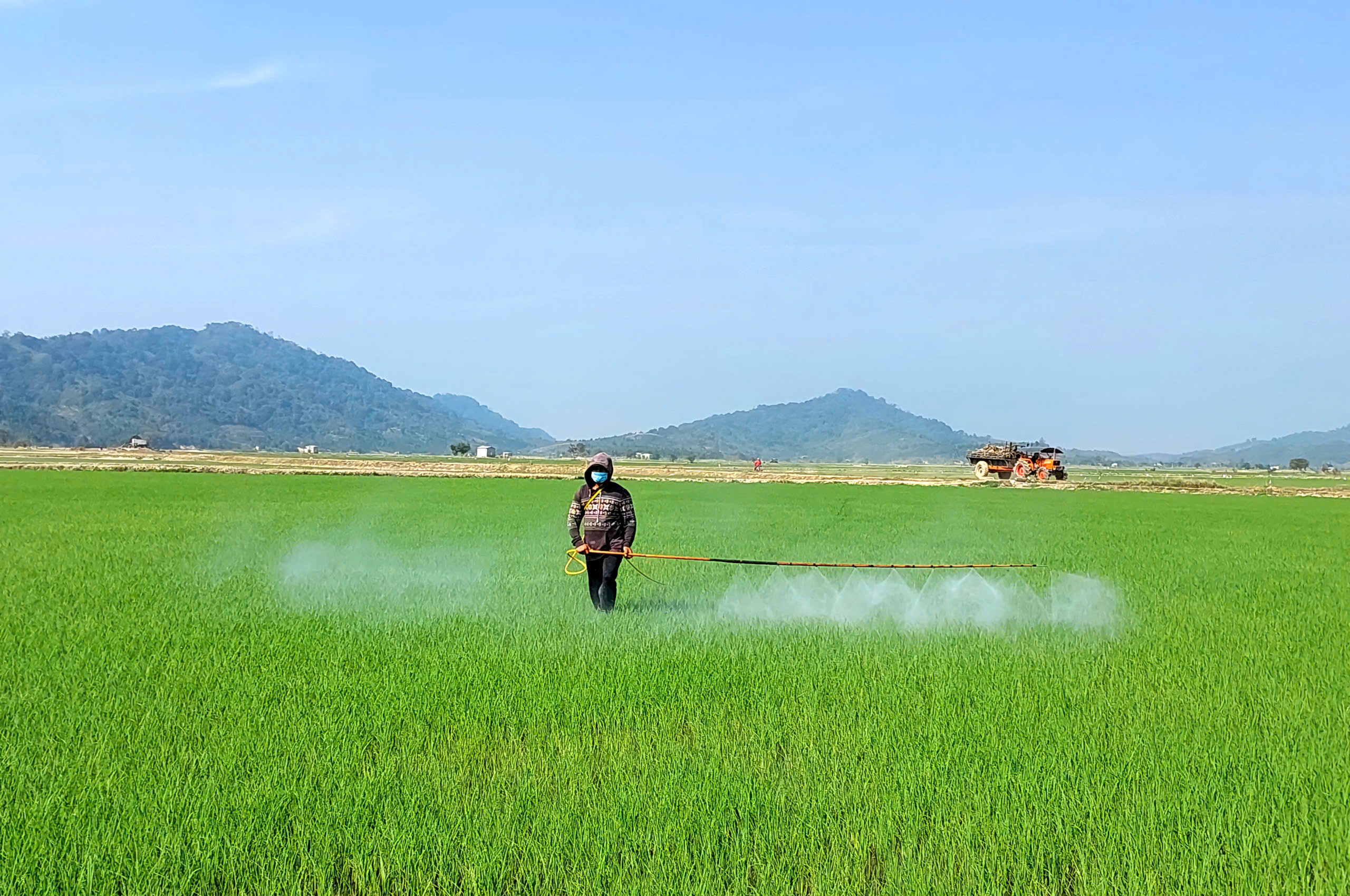 Phấn đấu triển khai 500 ha lúa giảm phát thải trong vụ Đông Xuân 2024 – 2025