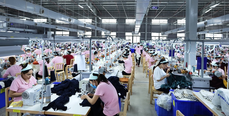Phấn đấu tư vấn việc làm cho hơn 12.000 lượt người dịp cuối năm 2024