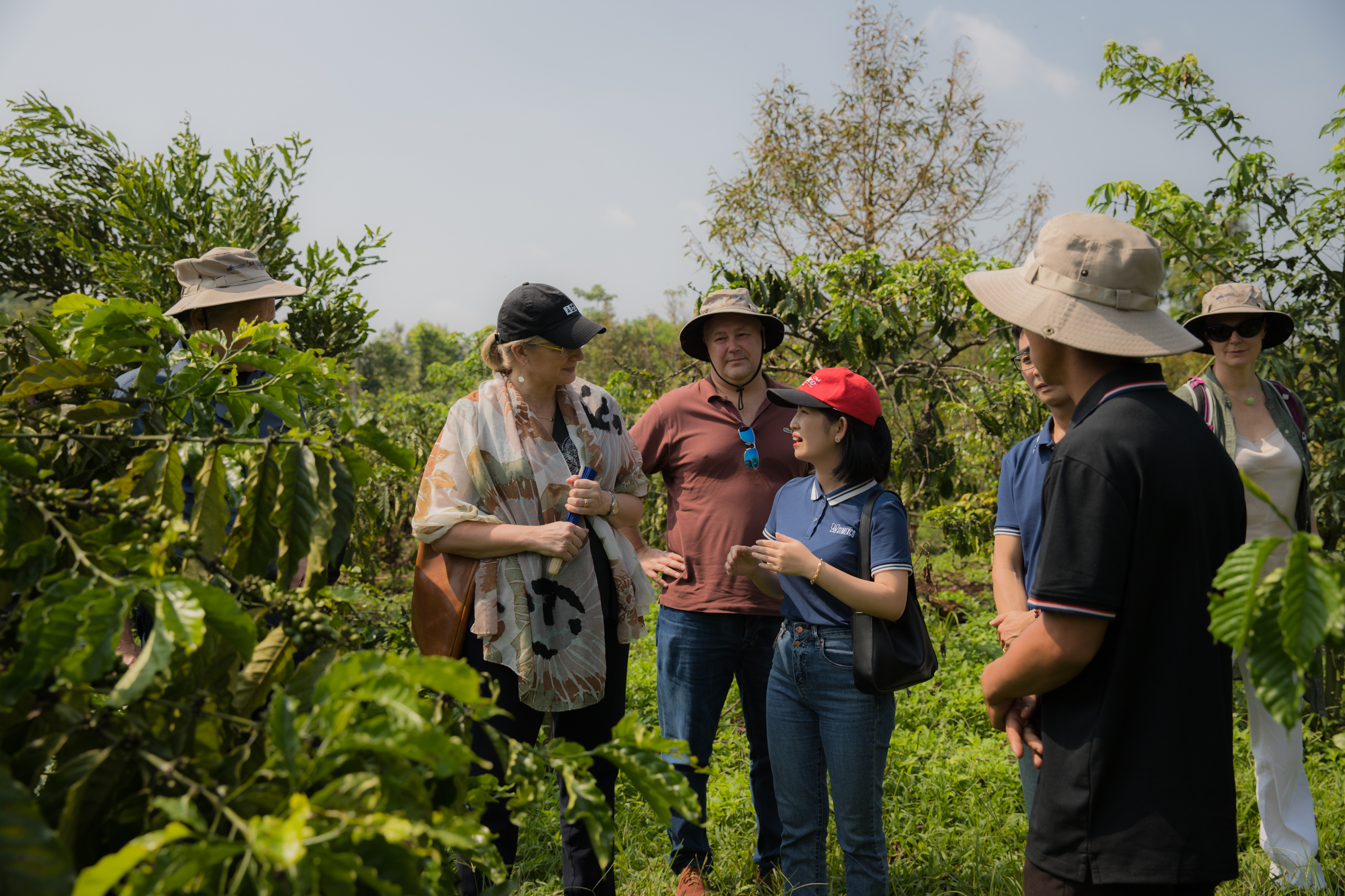 Năm 2025 ngành nông nghiệp phấn đấu nâng chất lượng sản phẩm nông sản đáp ứng tiêu chuẩn xuất khẩu