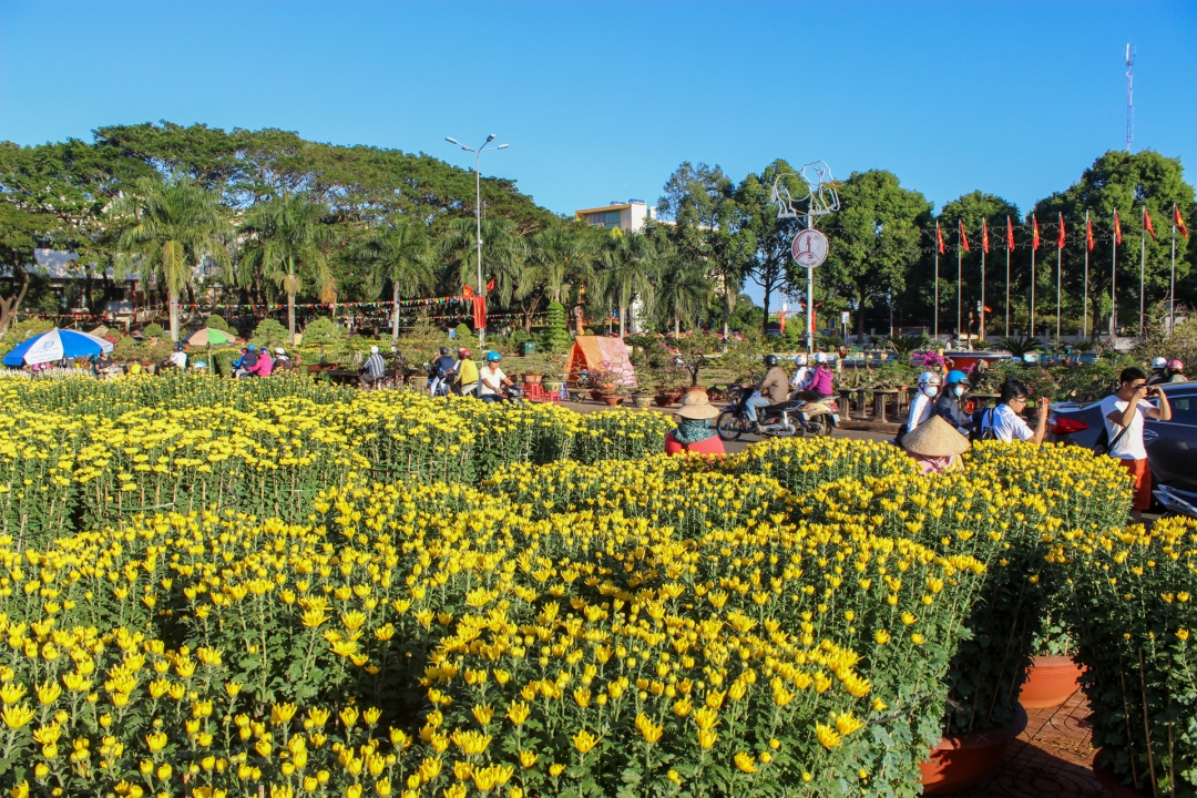 Chợ hoa Xuân Ất Tỵ 2025 sẽ diễn ra từ ngày 14 đến 29 tháng 12 Âm lịch