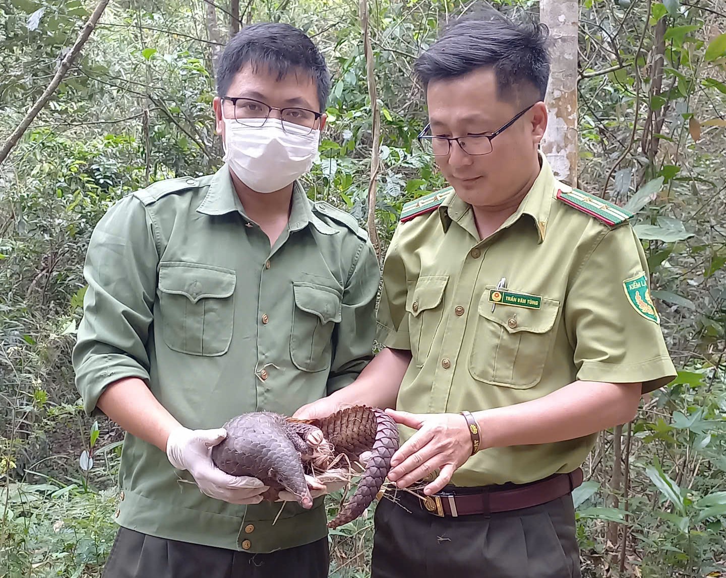 Tiến hành thả 13 cá thể động vật quý hiếm về với tự nhiên