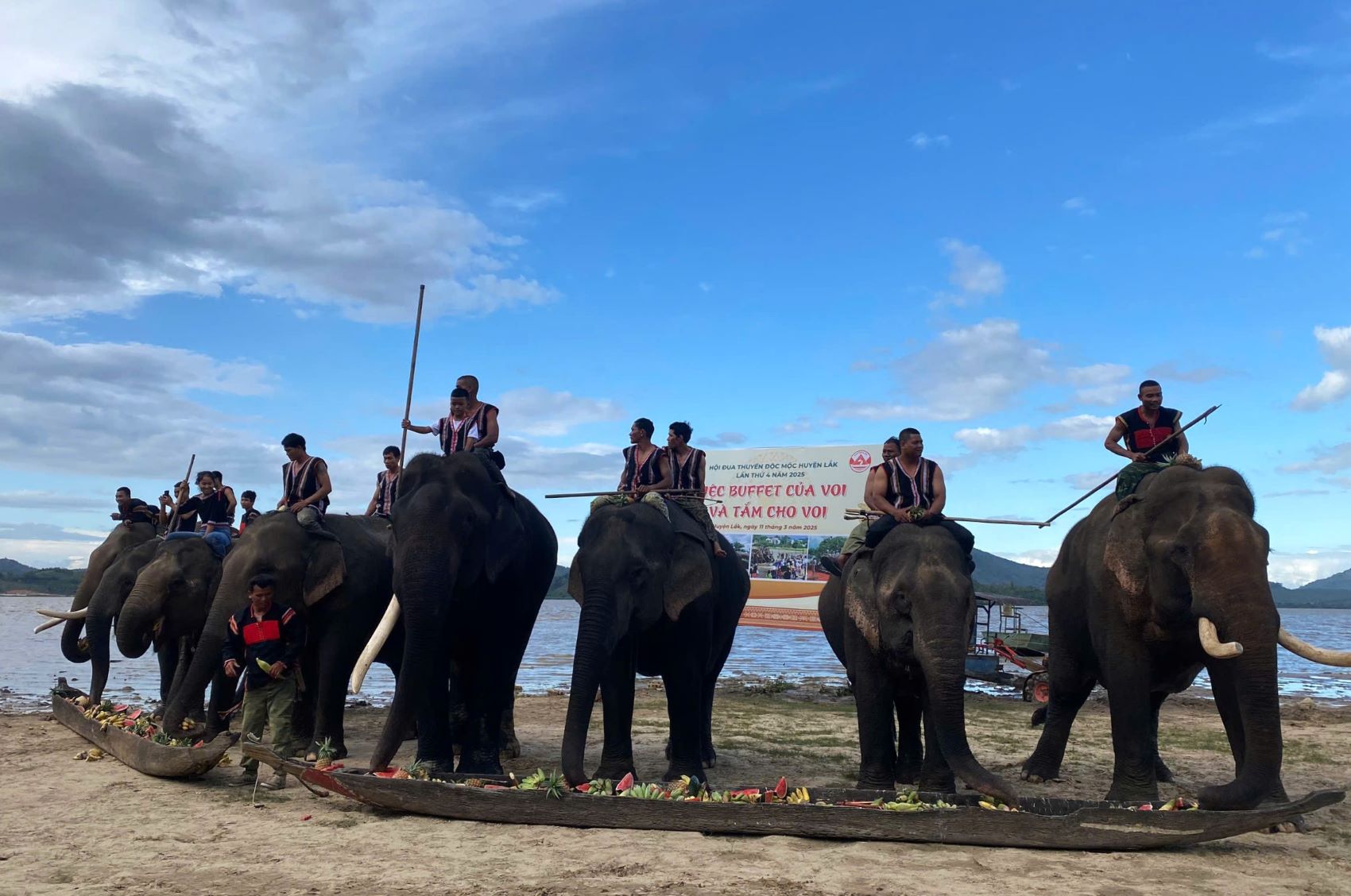 Tổ chức tiệc buffet chiêu đãi voi