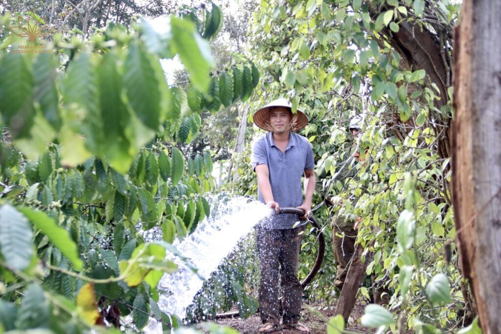 Đắk Lắk chủ động nguồn nước sản xuất trước dự báo khô hạn