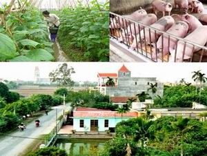 Ban hành tiêu chí xã, huyện nông thôn mới trong tháng 12