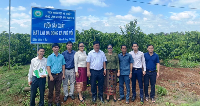 Đoàn công tác của Sở Nông Nghiệp và Lâm nghiệp tỉnh Attapeu làm việc với Viện Khoa học Nông lâm nghiệp Tây Nguyên