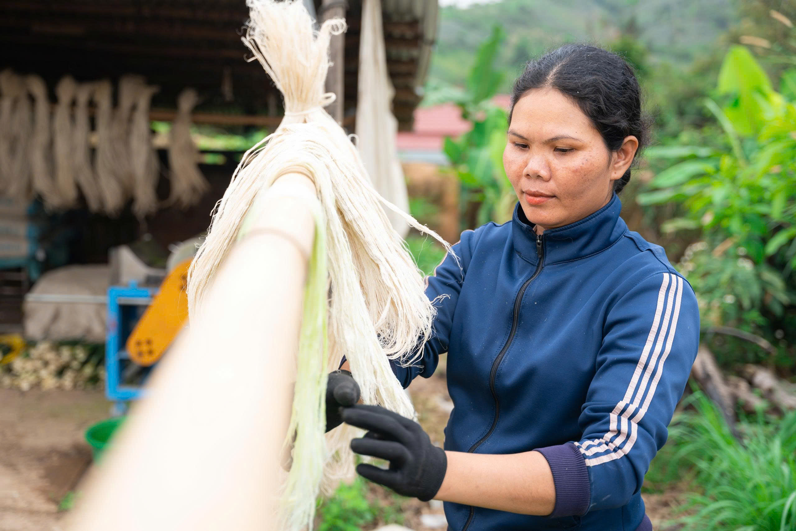Dự án Tôi vui Gieo – She Feeds the World: Hỗ trợ sinh kế cho phụ nữ và thúc đẩy nông nghiệp bền vững tại các tỉnh Tây Nguyên