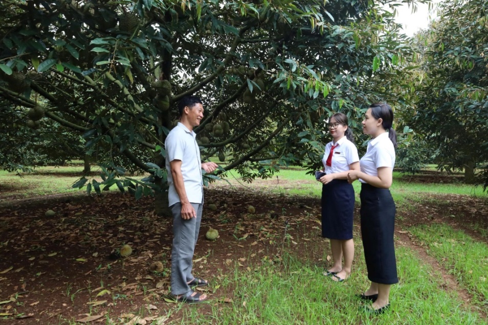 Agribank chi nhánh Đắk Lắk: Đồng hành cùng khát vọng đổi mới nền kinh tế