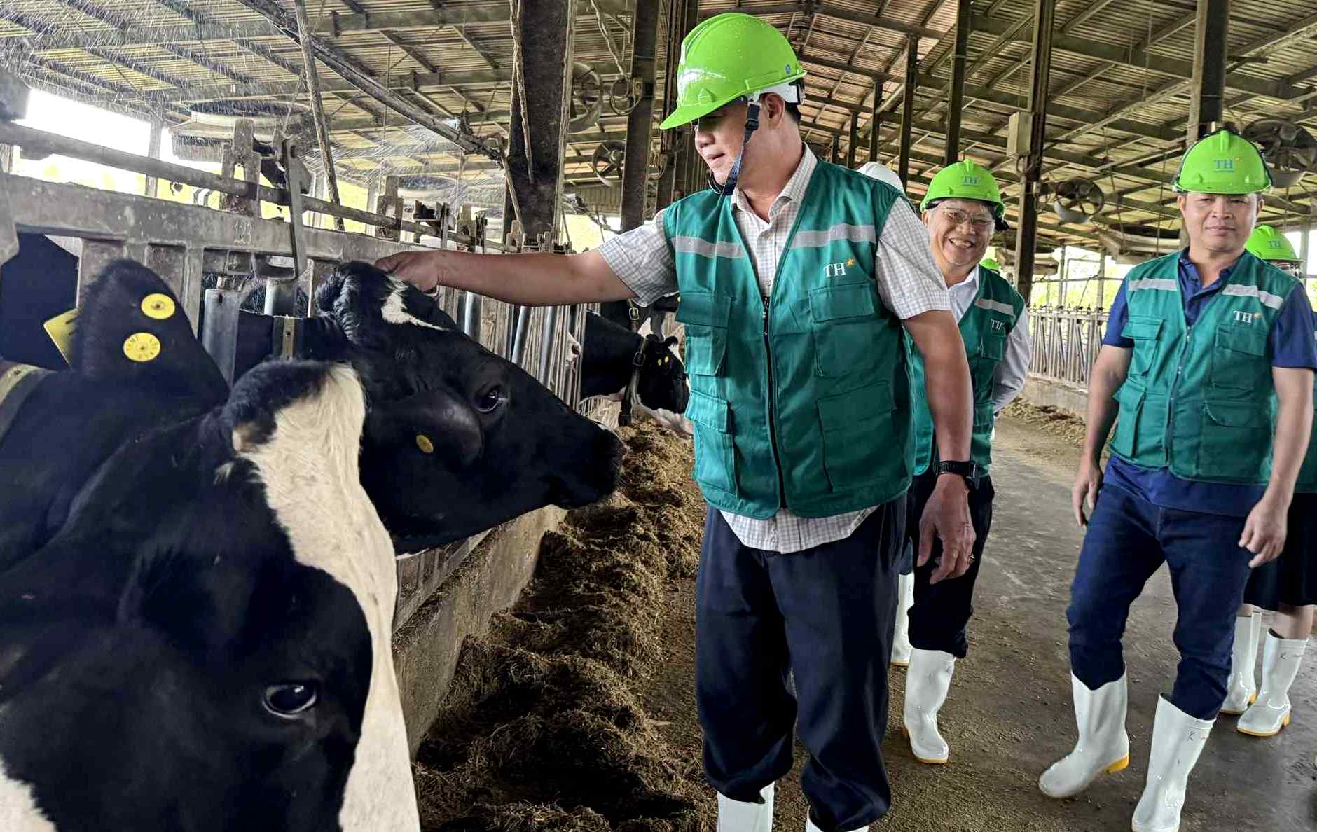 Lãnh đạo UBND tỉnh thăm, làm việc với Công ty TNHH Trang trại Bò sữa Công nghệ cao Phú Yên