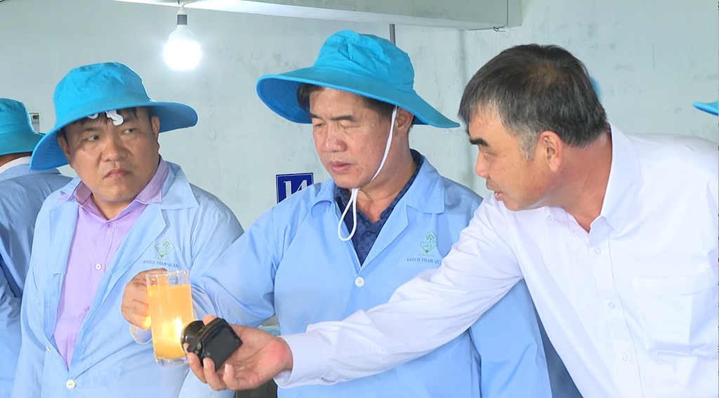 Đắk Lắk: Ông Lê Hữu Tình được tôn vinh “Nhà khoa học của nhà nông” năm 2025