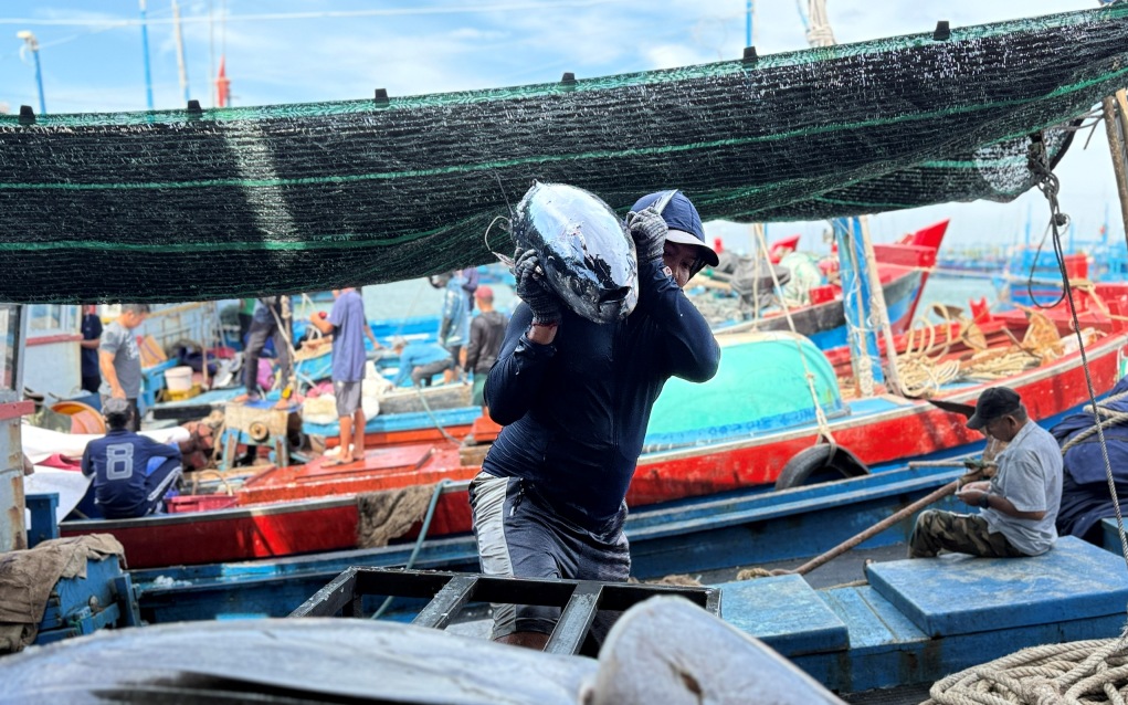 Đắk Lắk quyết tâm gỡ “thẻ vàng” EC, hướng tới phát triển nghề cá bền vững