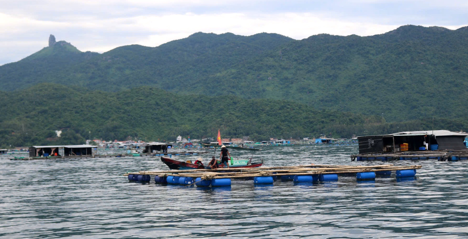 Tăng cường công tác quản lý nuôi trồng thủy sản trên địa bàn tỉnh