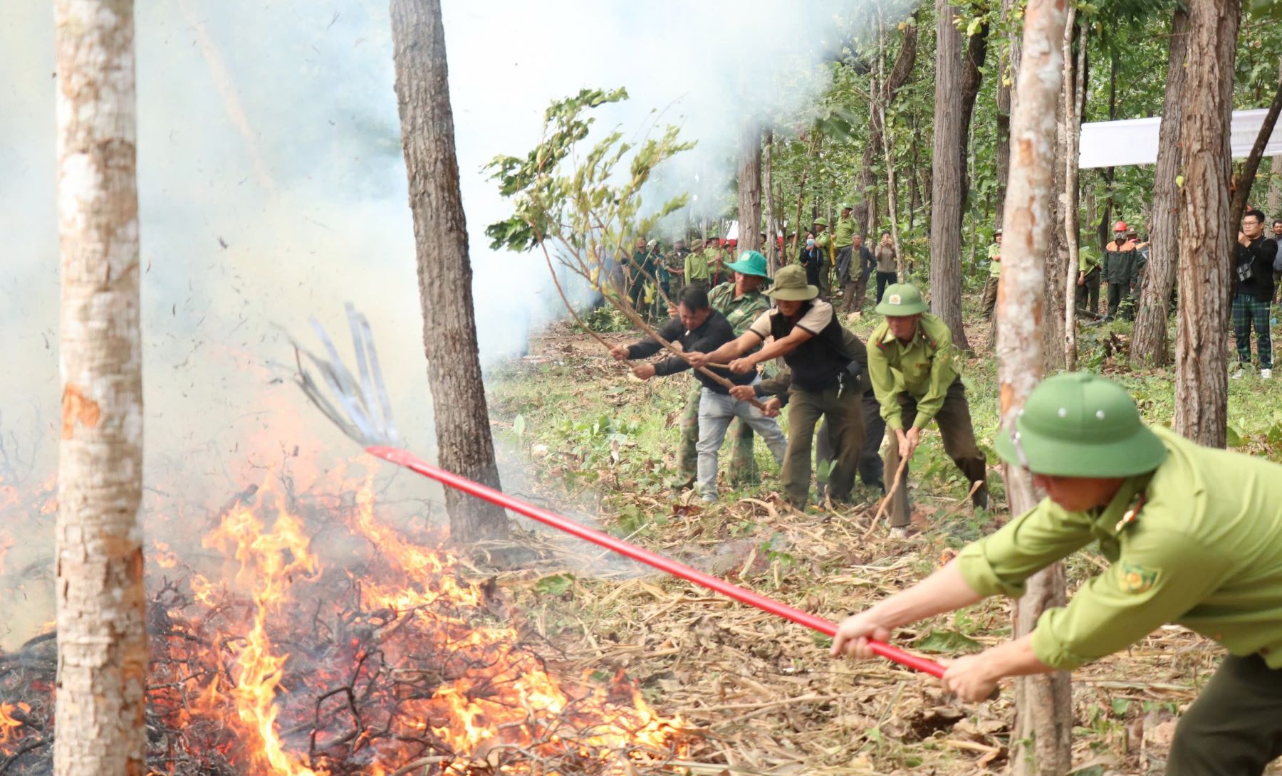 Diễn tập chữa cháy rừng ở Vườn Quốc gia Yok Đôn