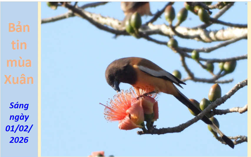 Thông tin báo chí ngày 01/02/2026.
