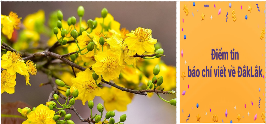 Thông tin báo chí ngày 06/02/2026.