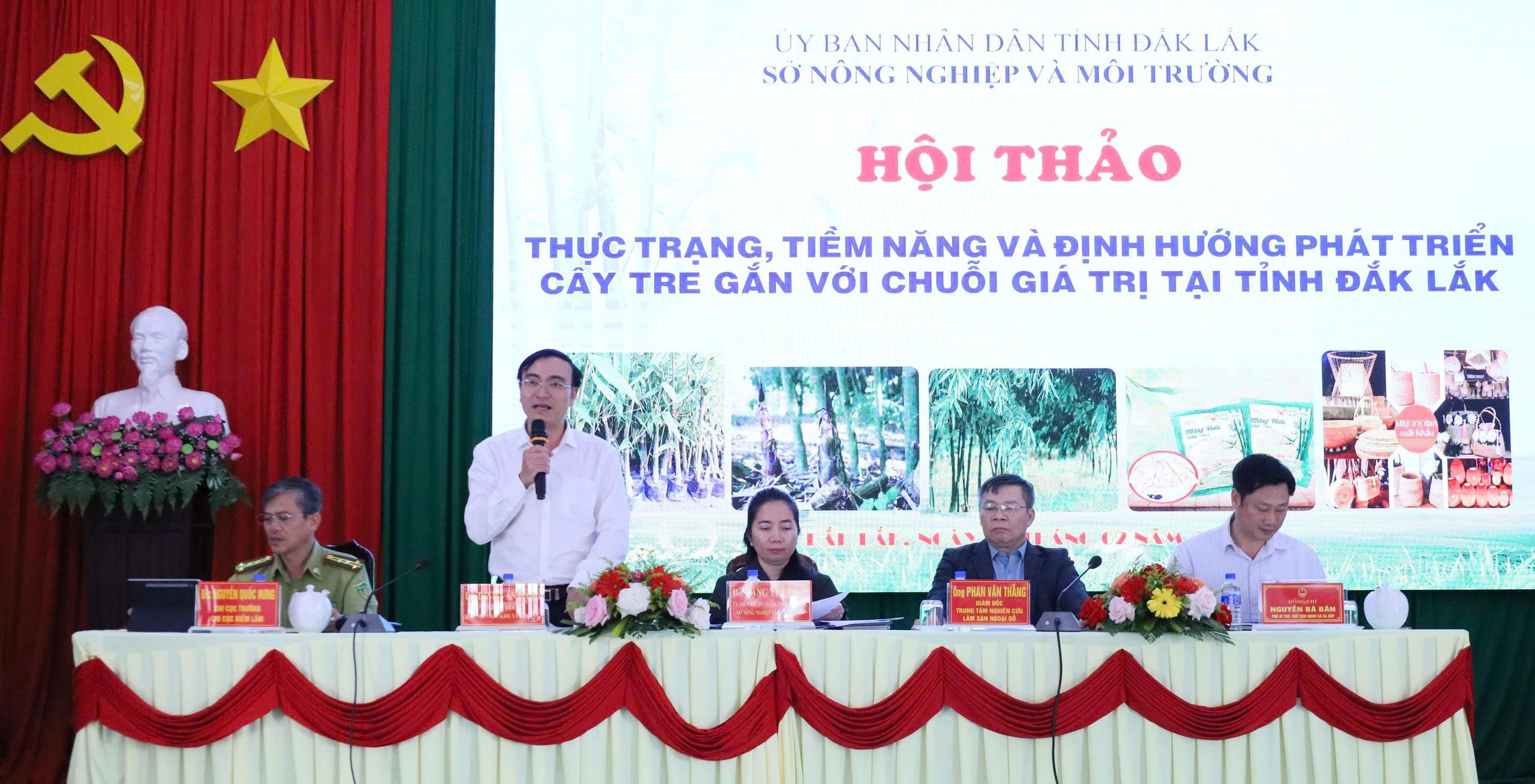 Đắk Lắk tìm giải pháp phát triển chuỗi giá trị cây tre bền vững