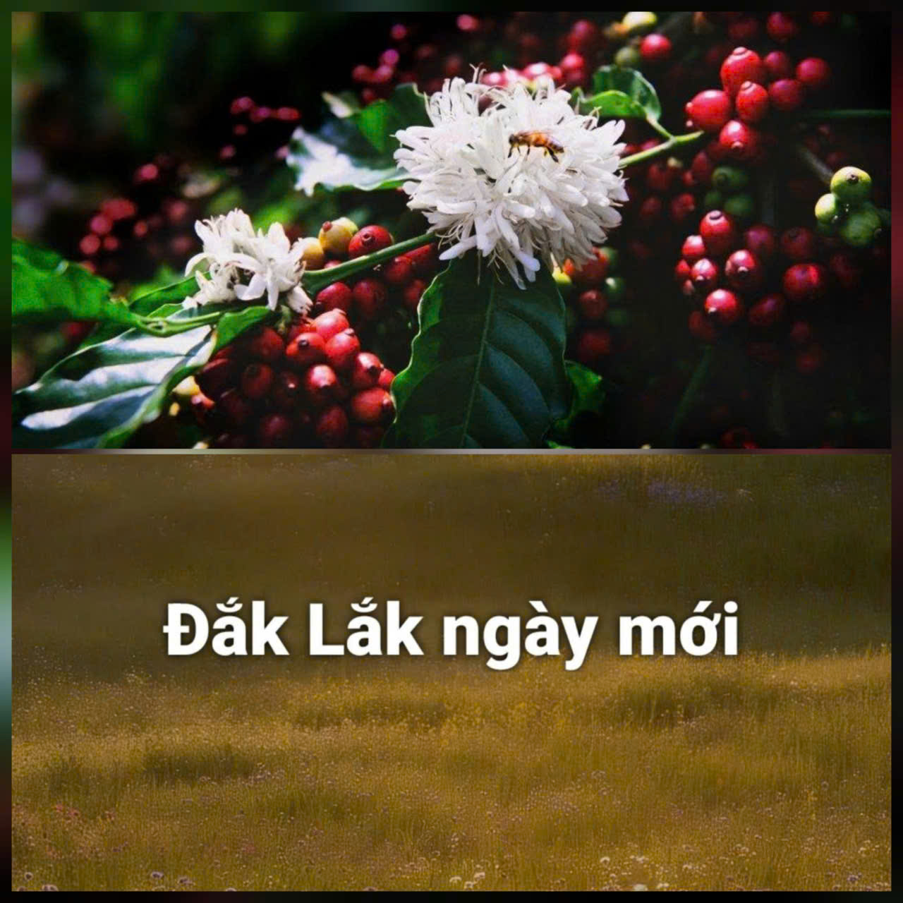 Thông tin báo chí ngày 26/02/2026.