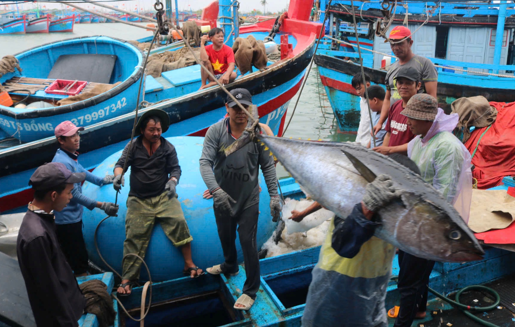 Khởi tố bị can về hành vi tổ chức cho người khác xuất cảnh trái phép