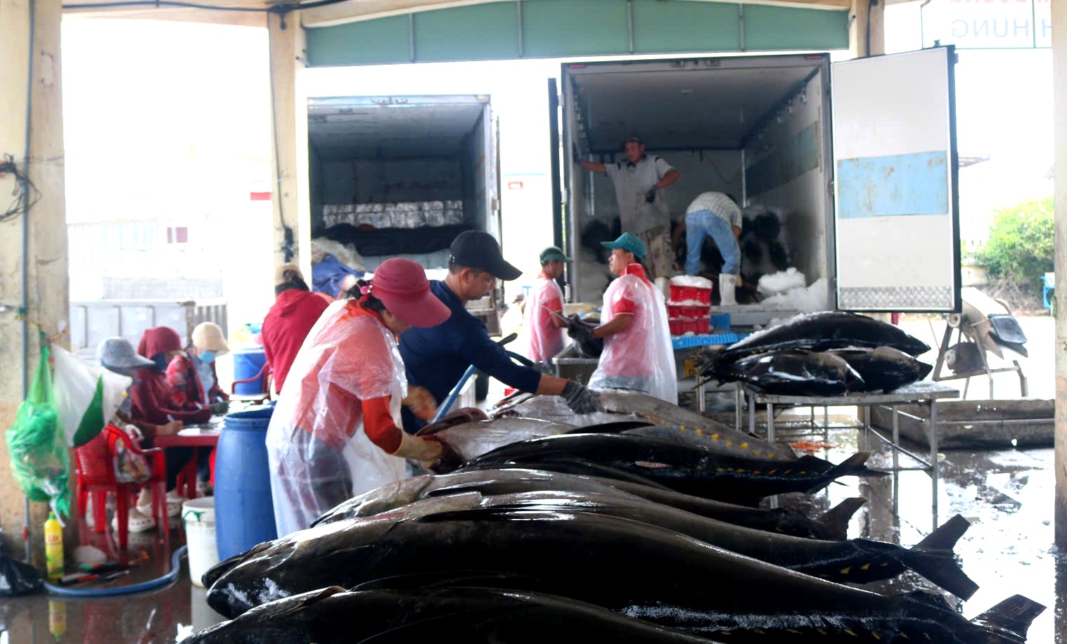 Nâng cao nhận thức ngư dân, siết chặt quản lý để ngăn chặn khai thác IUU