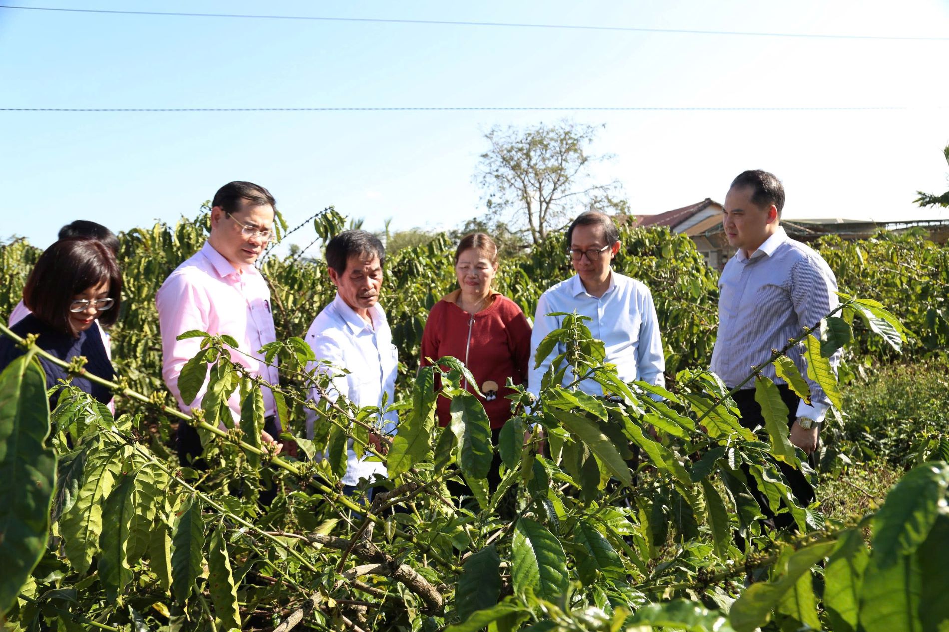 Khảo sát về công tác tín dụng chính sách tại xã Ea Phê