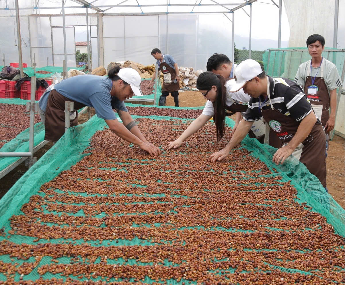 Đắk Lắk phấn đấu có hơn 200 Hợp tác xã nông nghiệp ứng dụng công nghệ cao