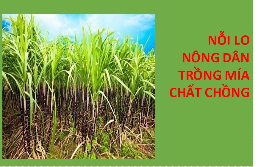 Thông tin báo chí ngày 09/4/2026.