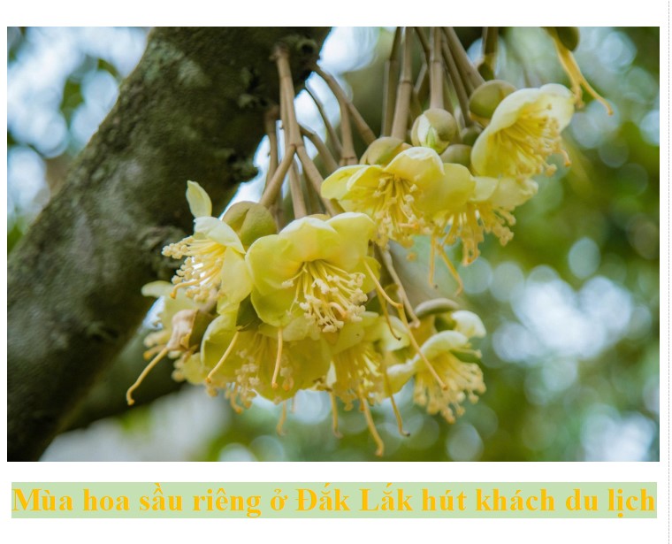 Thông tin báo chí ngày 16/4/2026.