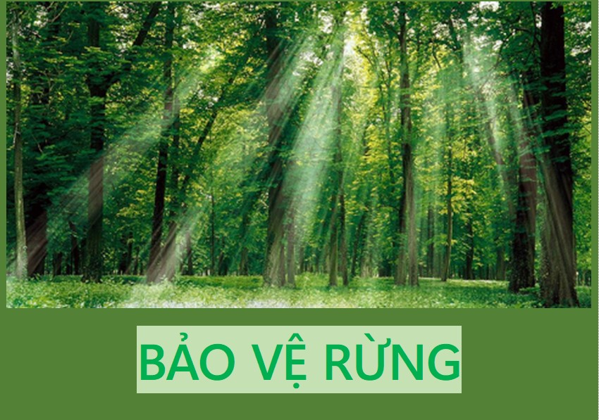Thông tin báo chí ngày 20/4/2026.