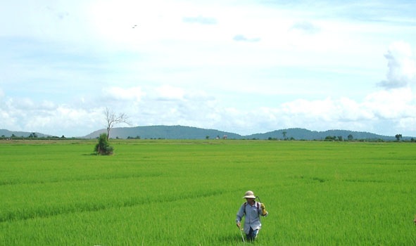 Tạo mọi điều kiện để thúc đẩy phát triển kinh tế 2 huyện vùng biên