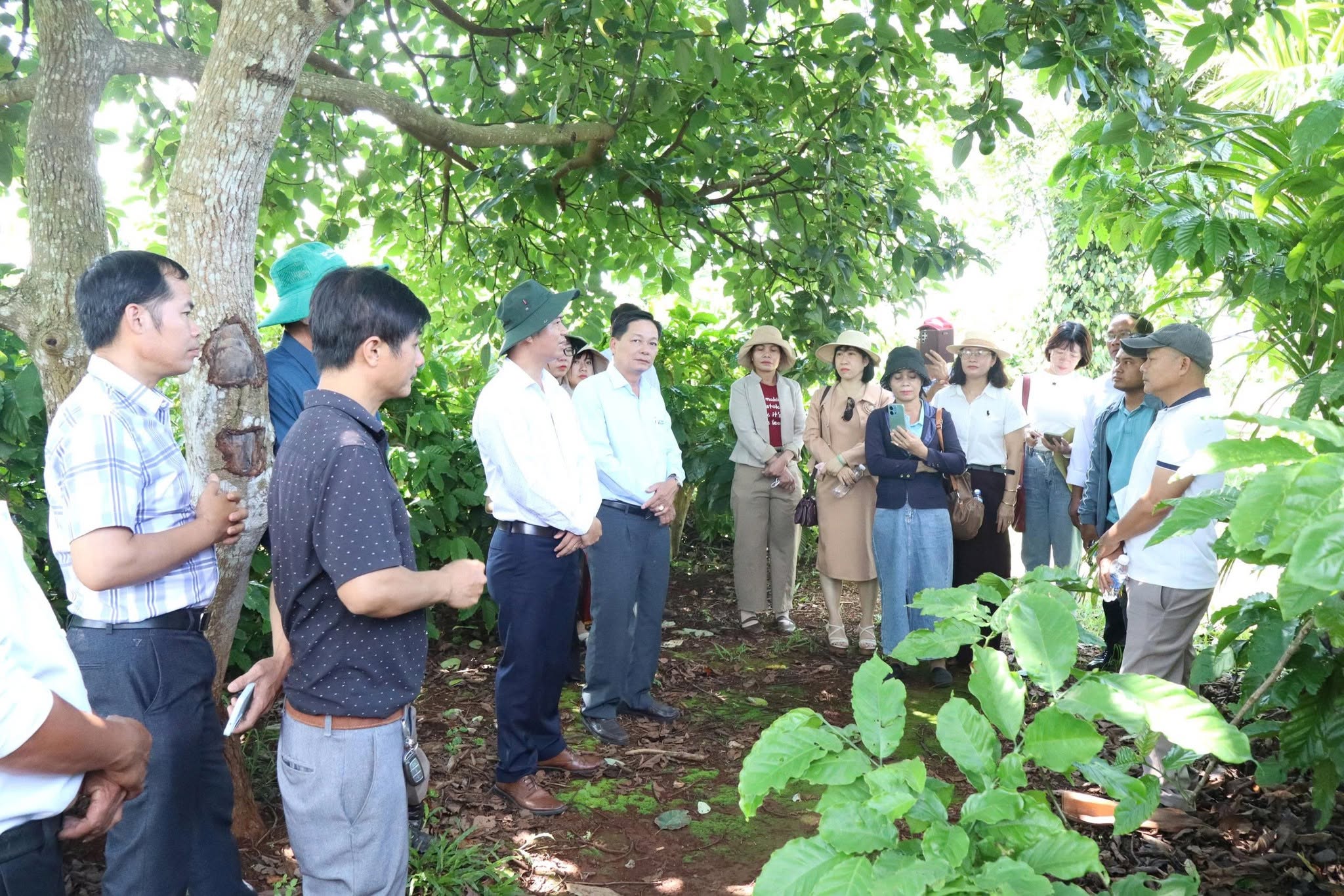Đắk Lắk hướng tới 68 xã đạt chuẩn nông thôn mới vào năm 2030