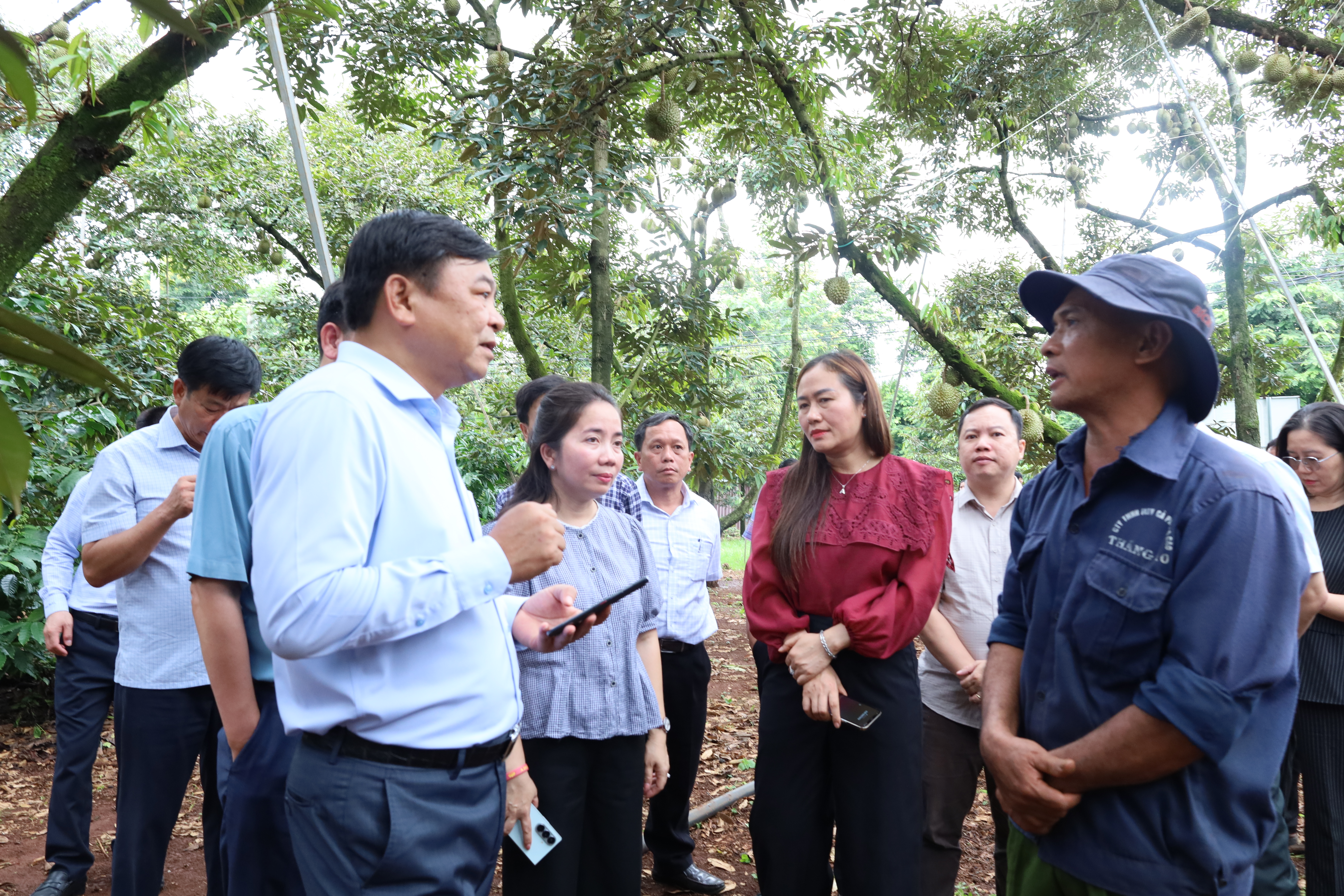 Thứ trưởng Bộ Nông nghiệp và Môi trường Nguyễn Hoàng Hiệp khảo sát vùng trồng và doanh nghiệp đóng gói sầu riêng tại Đắk Lắk