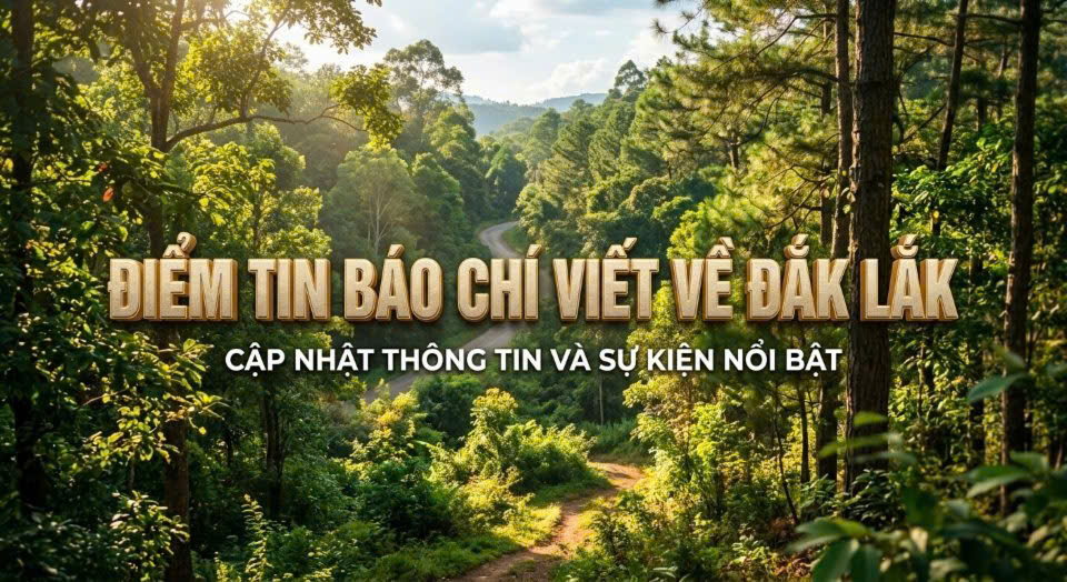 Thông tin báo chí ngày 12/7/2026.