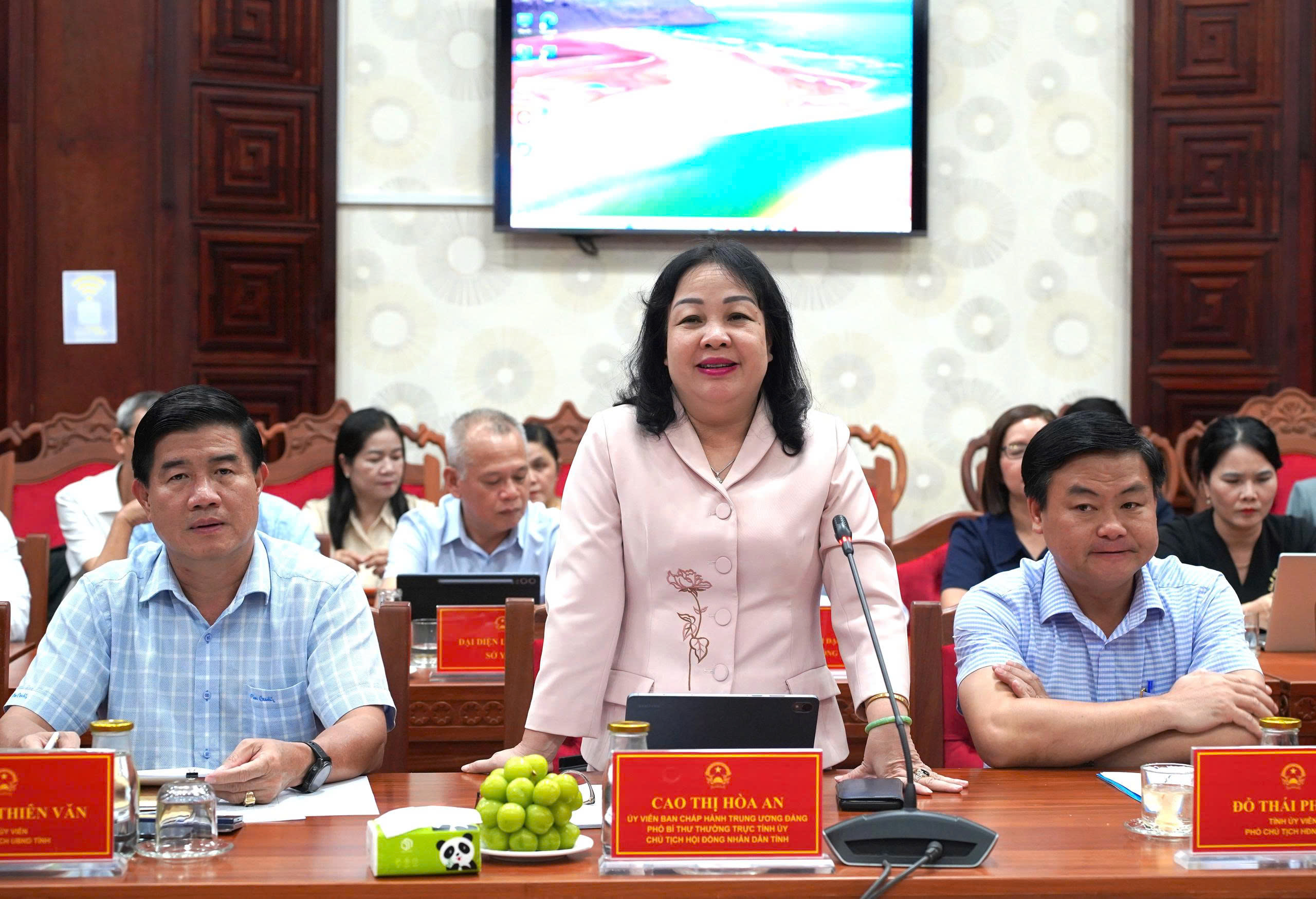 Thường trực HĐND tỉnh làm việc với các chuyên gia y tế thành phố Hồ Chí Minh về giải pháp phát triển ngành y tế địa phương