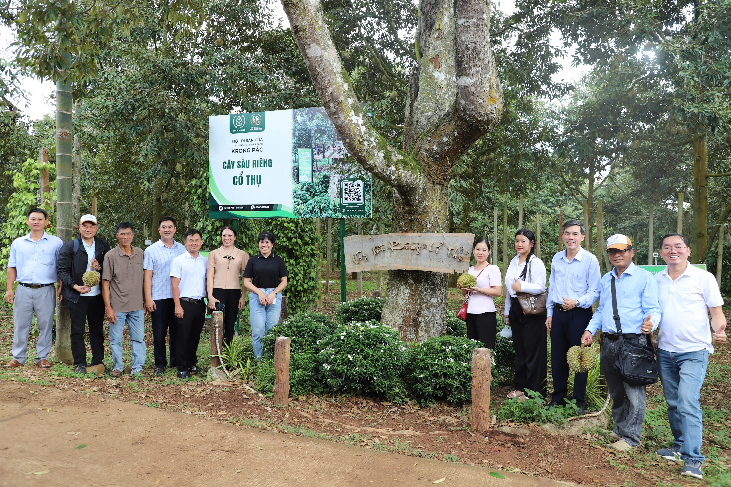 Khảo sát xây dựng tour trải nghiệm, thưởng thức sầu riêng tại vườn