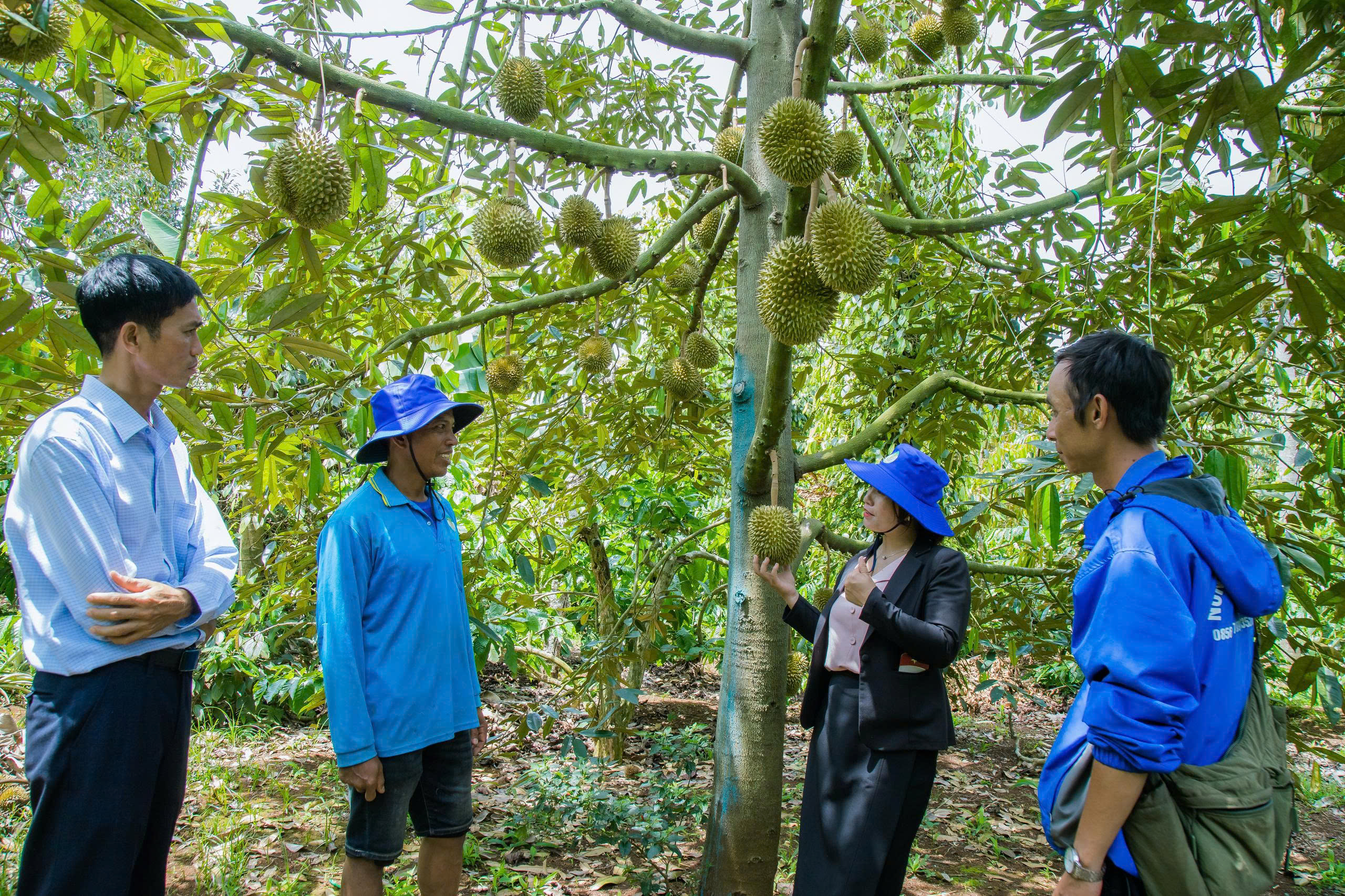 Thông tin báo chí ngày 06/8/2026.