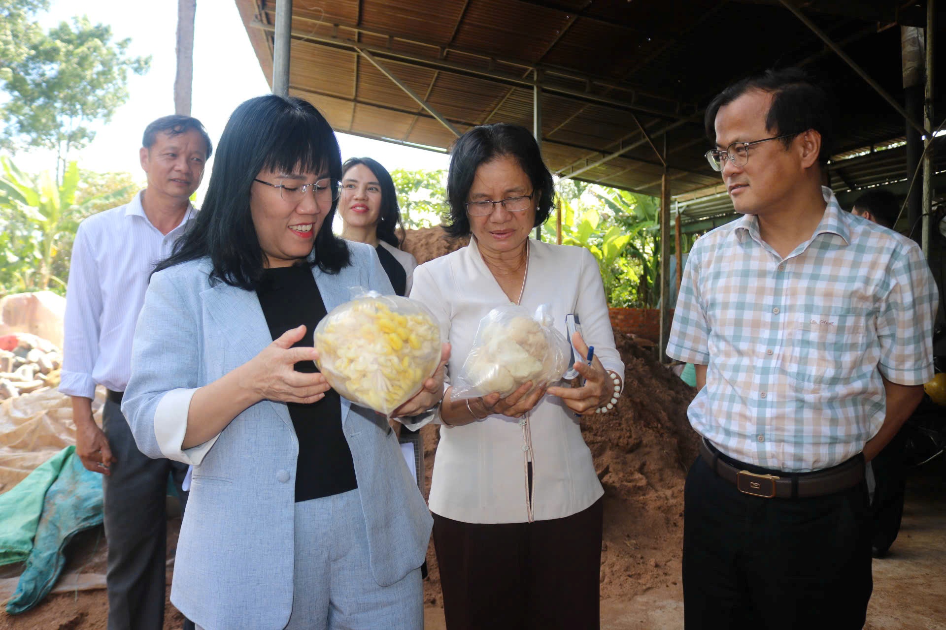 Đẩy mạnh ứng dụng khoa học, công nghệ trong sản xuất và chế biến