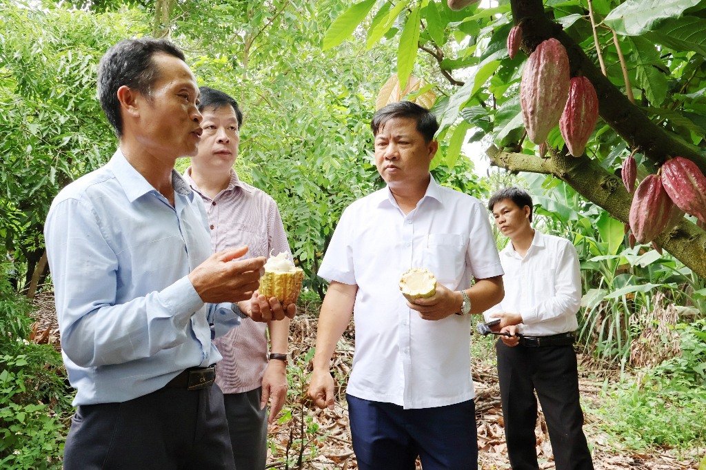 Thông tin báo chí ngày 12/9/2026.