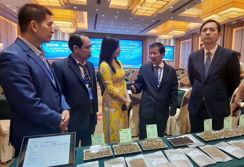Kết nối tiêu thụ nông sản Đắk Lắk tại thị trường Quảng Tây (Trung Quốc)