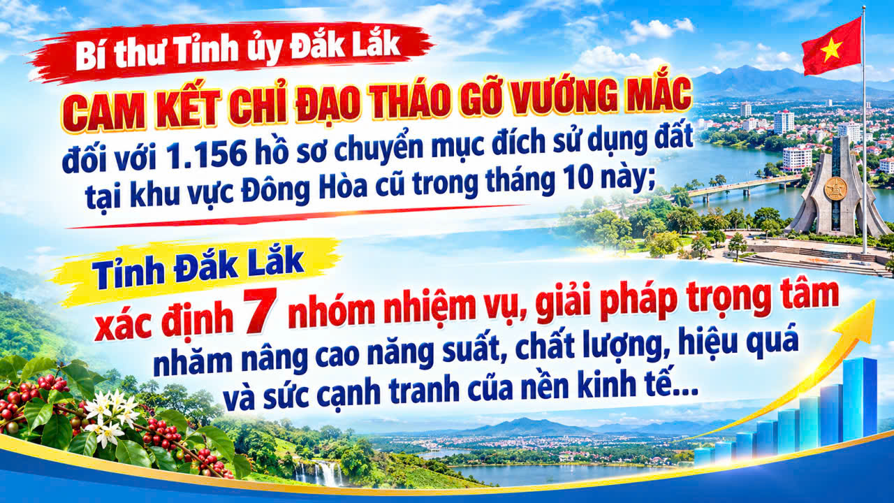 Thông tin báo chí ngày 17/10/2026.